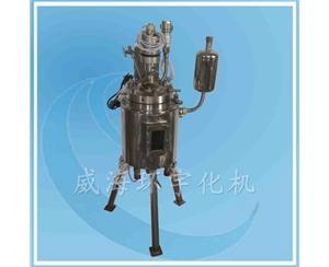 上海玻璃視窗反應(yīng)釜