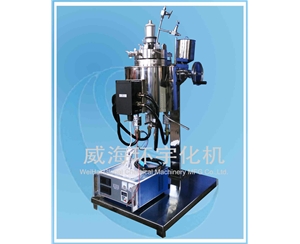 上海2L升降高壓釜帶防爆裝置
