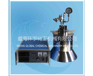 上海高壓實(shí)驗(yàn)室釜配PID