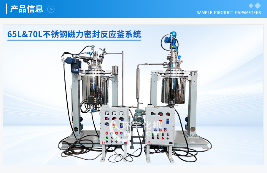 上海65&70L不銹鋼磁力密封反應釜系統(tǒng)